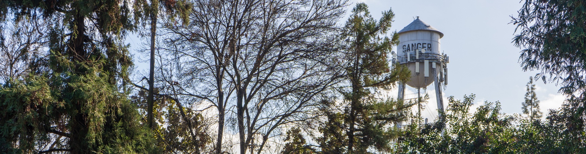 Sanger Water Tower