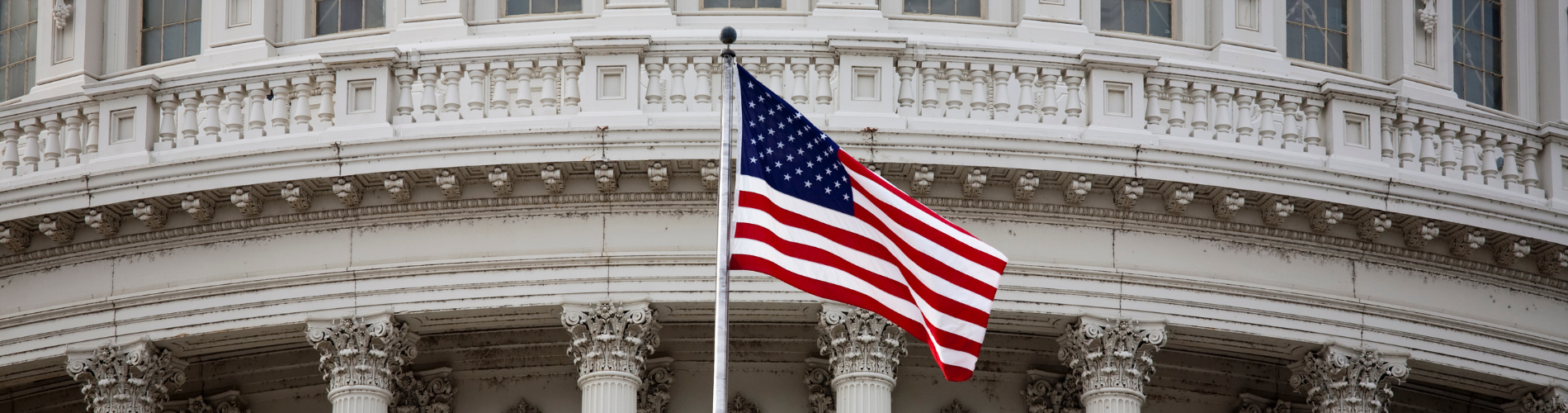 capitol - flag capitol - flag