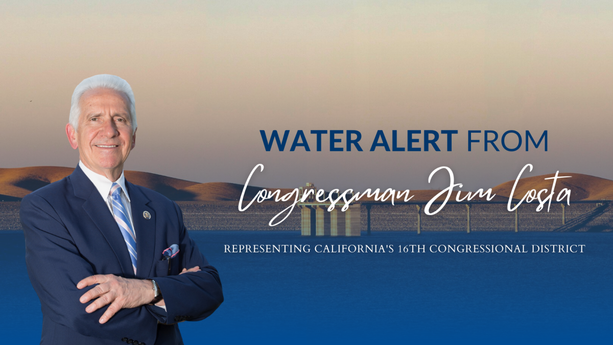 Water Alert   Cover