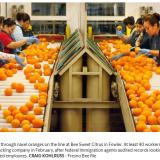 Costa: More ICE audits will have 'severe and disproportionate' impact on Valley business