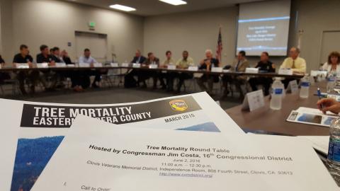 6.2.2016 Tree Mortality Workshop papers