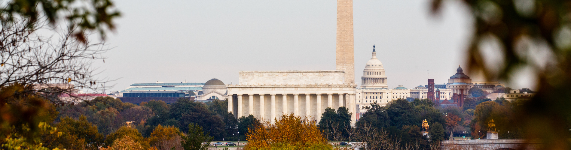 dc banner