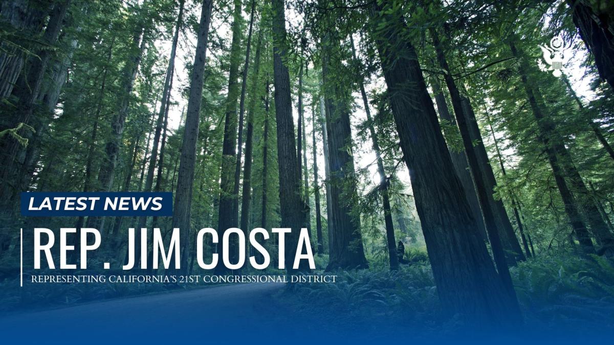 Forestry Bill