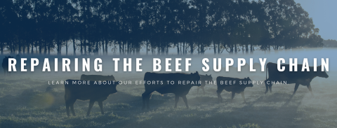 Beef Supply Chain NL